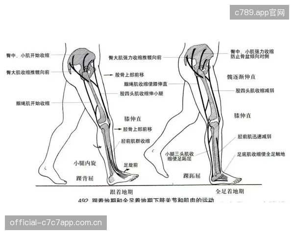 北体大康复中心引入步态分析系统，协助CBA球员术后恢复进程实现数据化追踪